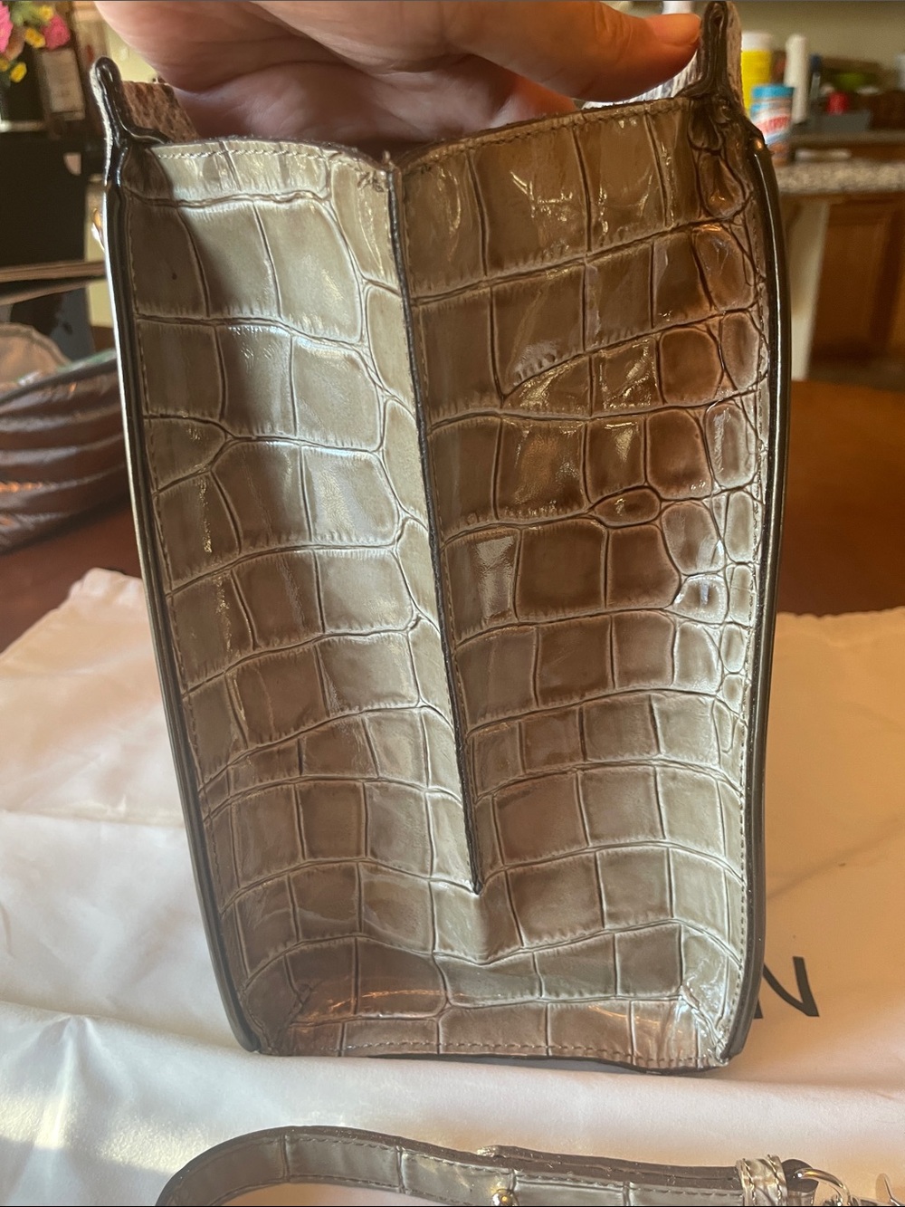Brahmin Taupe and Brown Snake-Embossed Leather Satchel with Removable Strap - Picture 4 of 7